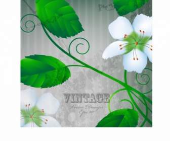 Warme Blume Blütenblatt-Hintergrund-Vektor-illustration