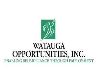Watauga โอกาส