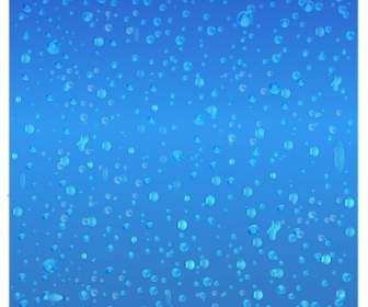 Water Drops Raindrops