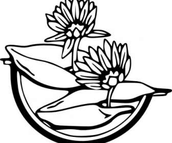 Water Lily Clip Art
