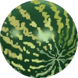 Melone D'acqua