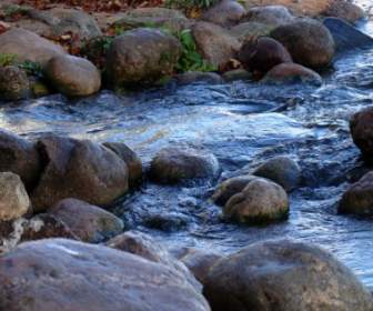 Water Stone Stream