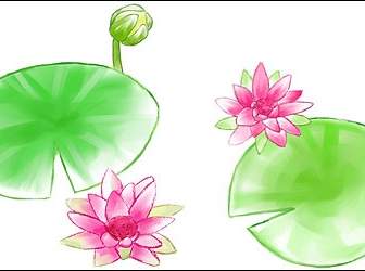 Watercolor Style Lotus