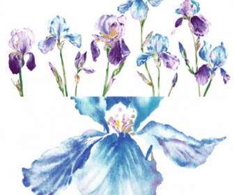 Aquarell-Stil Orchidee Blume Psd Geschichtet