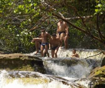 Wasserfall Dschungel Brasilien