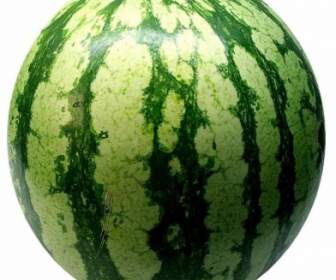 Watermelon Melon Fruit