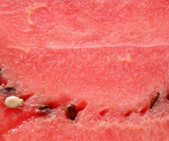 Watermelon Pulp Melon