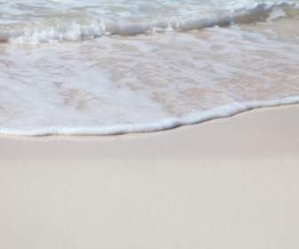 浜辺の波線の泡