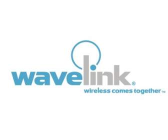 Program Wavelink