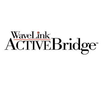 Wavelink Stała Activebridge