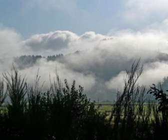 El Tiempo En Planta De Las Nubes