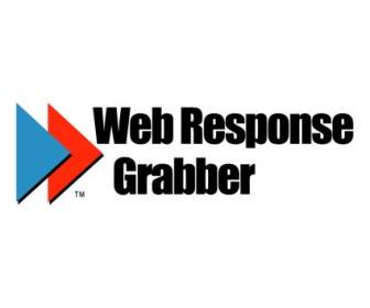 Web Respon Grabber