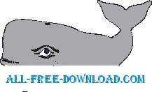 Baleine Souriant