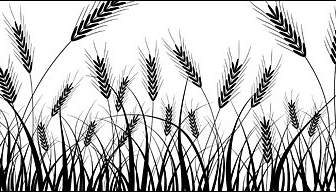 小麥剪影向量素材