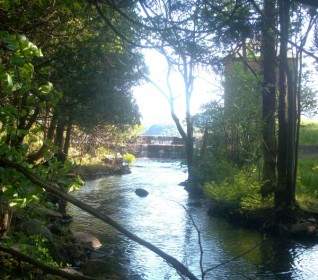 Rencontre Ruisseau Du Lac