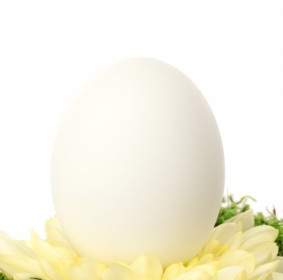 белый Пасхальное яйцо