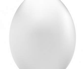 Huevo Blanco