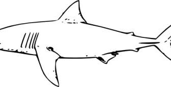 سمك القرش الأبيض قصاصة فنية