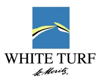 White Turf St Moritz