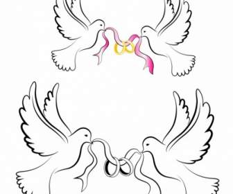 White Wedding Doves With Rings