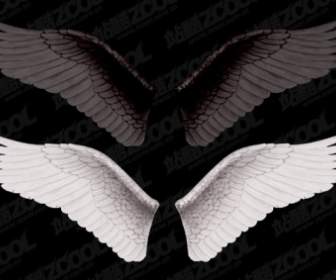 白い翼と翼は黒い層