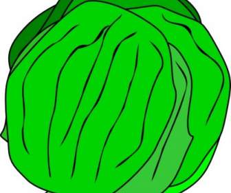 Whole Lettuce Clip Art