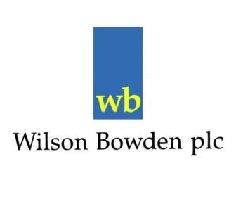 بودين ويلسون