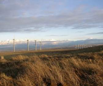 Wind Turbines Electricity