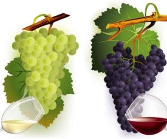 Wine And Grapes Vector