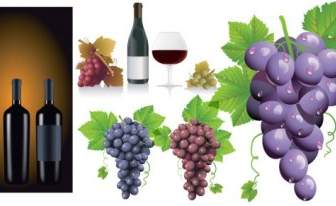 Wine Grapes Vector