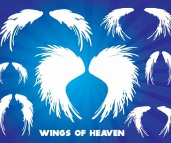 Wings Of Heaven