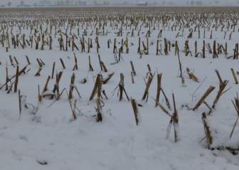 فصل الشتاء أول الثلوج الأراضي الصالحة للزراعة