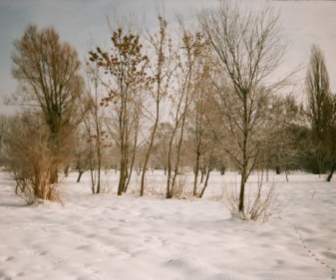 Winter Image Lublin