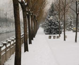 베이징 겨울