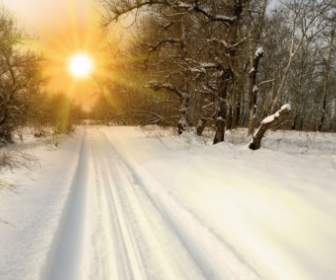 فصل الشتاء والمناظر الطبيعية صور عالية الدقة