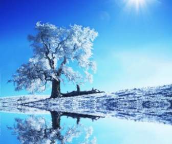 冬の風景の高精細溶融画像