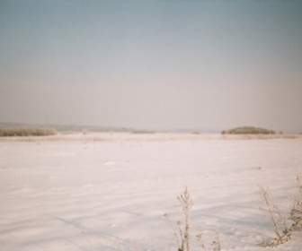Зимняя фотография Домброва Annop