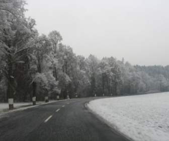 Estrada De Inverno