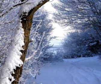 Schnee-Winterwanderweg
