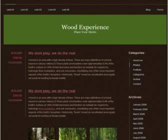 木經驗範本