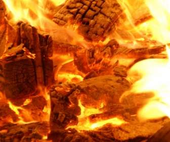 Wood Fire Wallpaper Other Nature