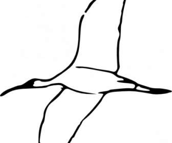 Ibis De Madera Clip Art