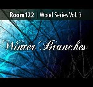 Wood Series Vol Winter Branch