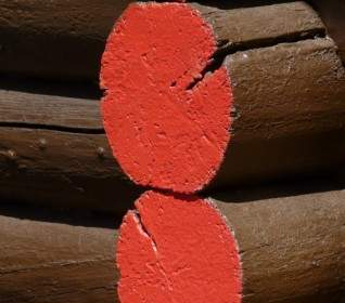 древесины деревянные балки краска