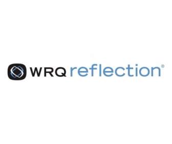 Wrq 反射