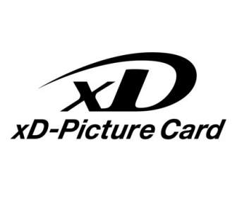 بطاقة الصورة Xd