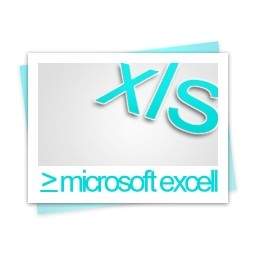 XLS Microsoft Excell