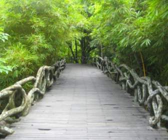 Yanoda 중국 공원