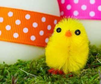 黄色复活节小鸡