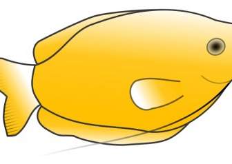 Gelber Fadenfisch